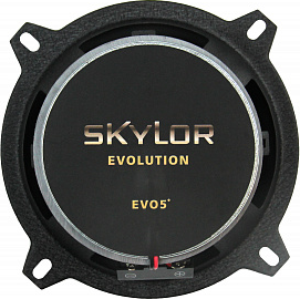 Коаксиальная АС Skylor EVO5 coax