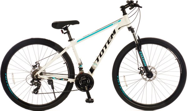 Велосипед TOTEM W860-29MDA / W86029MD19WT-AL - фото