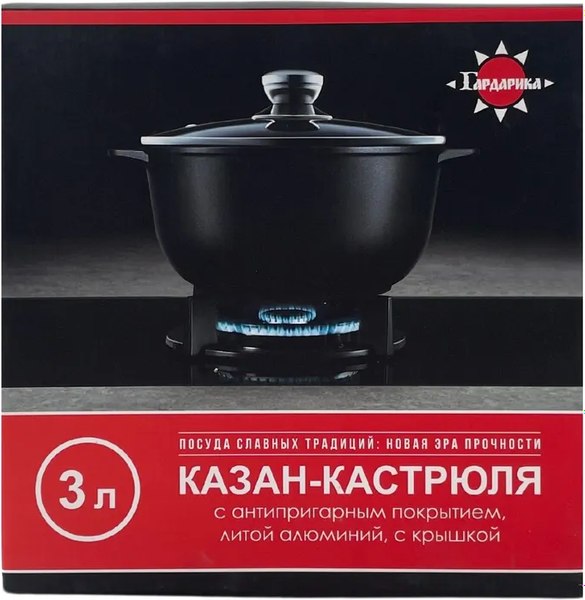 Казан Гардарика 1703-18-10