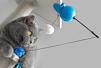 Игрушка для кошек EBI Foxy / 699/441459