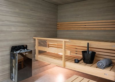 Электрокаменка Harvia SW45