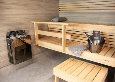 Электрокаменка Harvia SW45