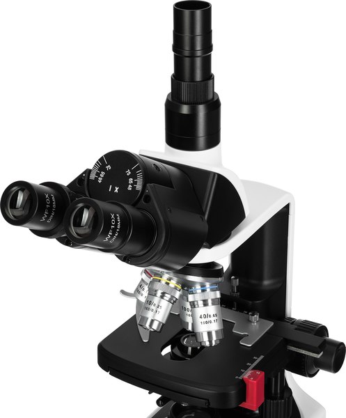 Микроскоп оптический Levenhuk 450T / 84463