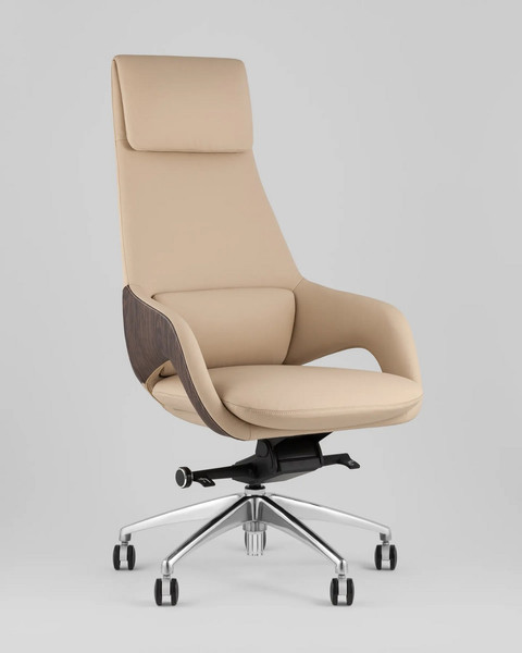 Кресло офисное TopChairs Reign A666-A 2006-11