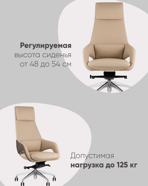 Кресло офисное TopChairs Reign A666-A 2006-11