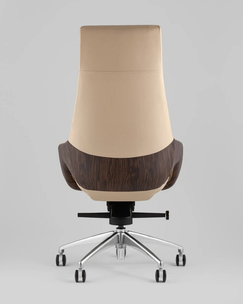 Кресло офисное TopChairs Reign A666-A 2006-11