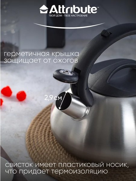 Чайник со свистком Attribute Duet ASD004