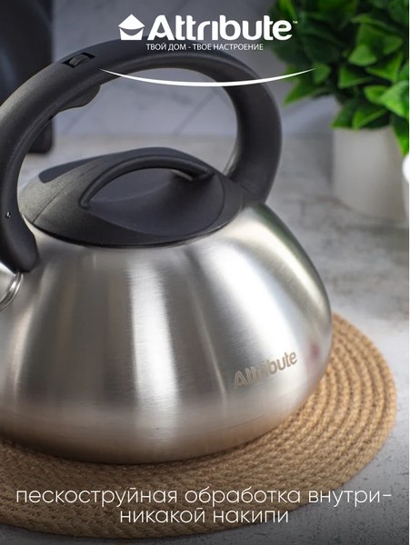 Чайник со свистком Attribute Duet ASD004