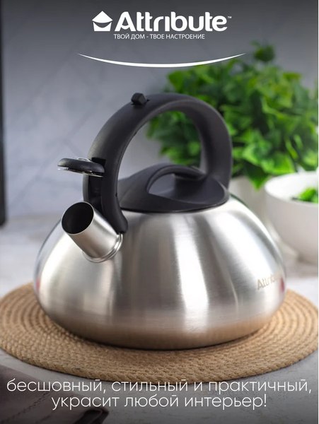 Чайник со свистком Attribute Duet ASD004