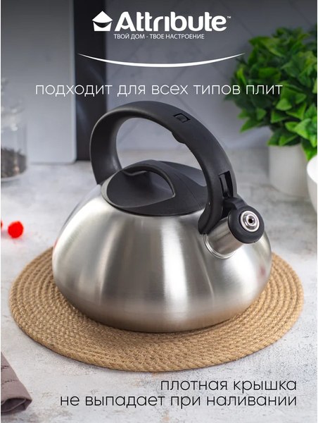 Чайник со свистком Attribute Duet ASD004