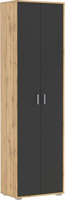 Шкаф Олмеко Антре 65.07 - фото