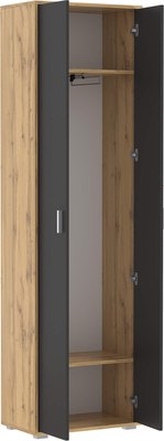 Шкаф Олмеко Антре 65.07