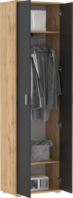 Шкаф Олмеко Антре 65.07