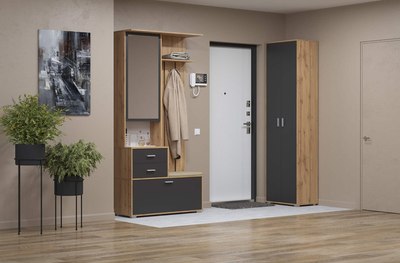 Шкаф Олмеко Антре 65.07