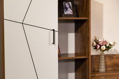 Шкаф Олмеко Гамма 54.06