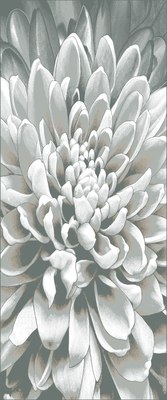 Коврик Витебские ковры Calypso Прямоугольник 4208 a3 - фото