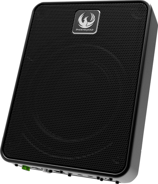 Корпусной активный сабвуфер Phoenix Gold ZB8P - фото