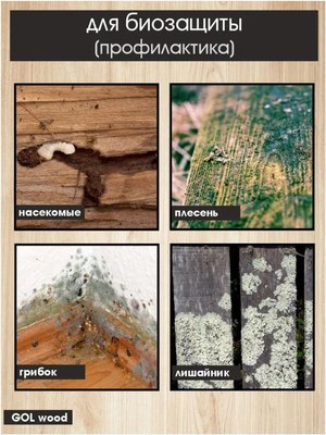 Антисептик для древесины GOL Антисептик-Био