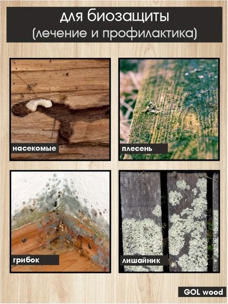Антисептик для древесины GOL Антисептик-Супербио
