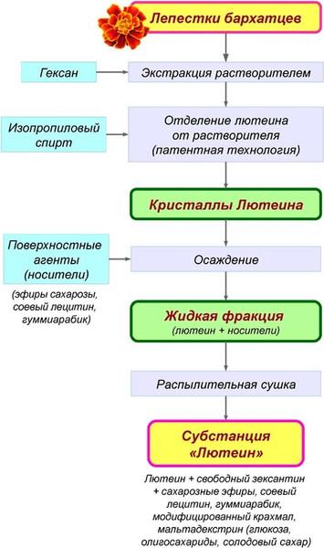 Пищевая добавка RealCaps Лютеин 100% 476мг