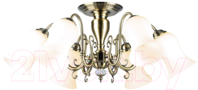 Люстра Lussole Anaheim LSP-8026 - фото