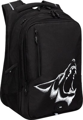 Рюкзак Grizzly RU-538-4 - фото