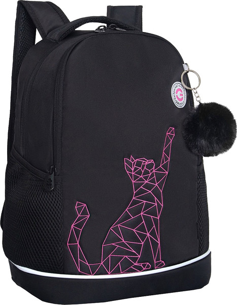 Школьный рюкзак Grizzly RG-563-2 - фото