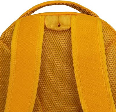 Школьный рюкзак Grizzly RG-563-3