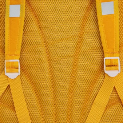 Школьный рюкзак Grizzly RG-563-3