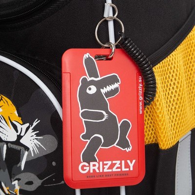Школьный рюкзак Grizzly RAm-585-5