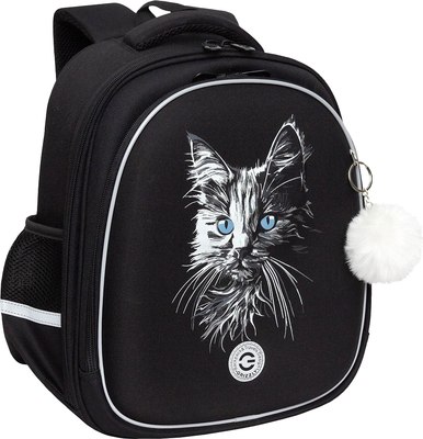 Школьный рюкзак Grizzly RAz-586-15 - фото