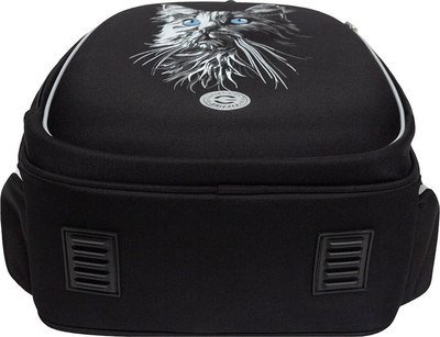 Школьный рюкзак Grizzly RAz-586-15