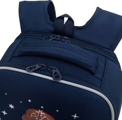 Школьный рюкзак Grizzly RAw-594-9