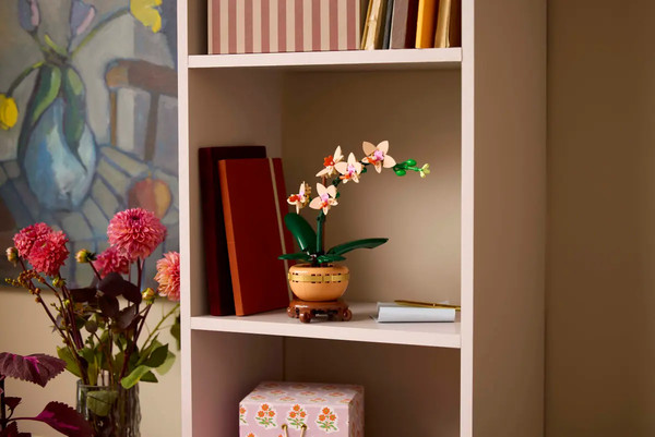 Конструктор Lego Botanicals Мини-орхидея 10343