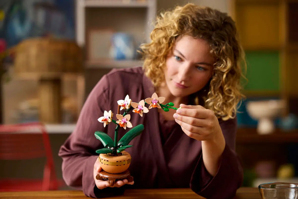 Конструктор Lego Botanicals Мини-орхидея 10343