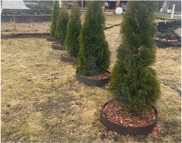 Бордюр садовый Протэкт Ротанг 4.8м 10025