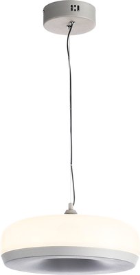 Потолочный светильник ST Luce SL6014.503.01 - фото