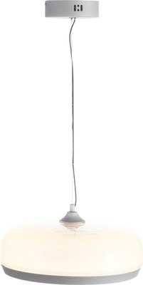 Потолочный светильник ST Luce SL6014.503.01