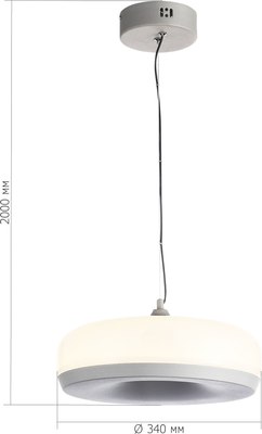 Потолочный светильник ST Luce SL6014.503.01