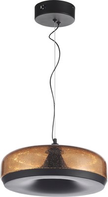 Потолочный светильник ST Luce SL6014.603.01 - фото