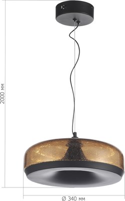 Потолочный светильник ST Luce SL6014.603.01