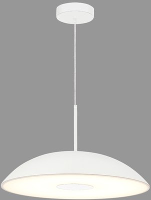 Потолочный светильник ST Luce SL6128.503.01 - фото