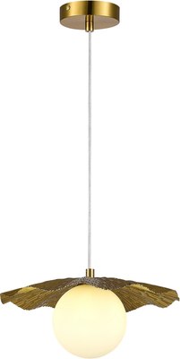 Потолочный светильник Evoluce SLE1196-303-01 - фото