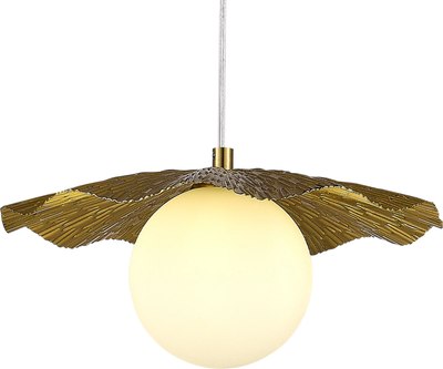 Потолочный светильник Evoluce SLE1196-303-01