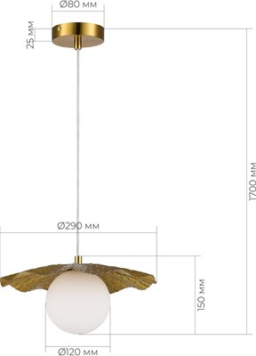 Потолочный светильник Evoluce SLE1196-303-01