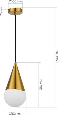 Потолочный светильник Evoluce SLE1197-203-01