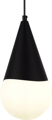 Потолочный светильник Evoluce SLE1197-403-01