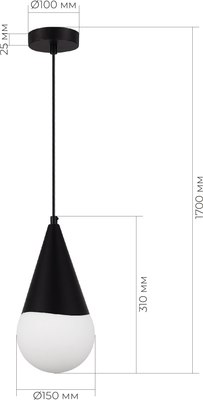 Потолочный светильник Evoluce SLE1197-403-01