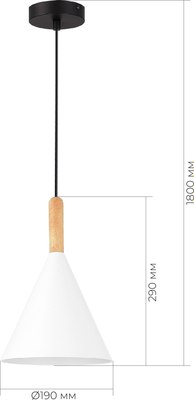 Потолочный светильник Evoluce SLE1255-413-01