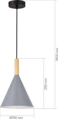 Потолочный светильник Evoluce SLE1255-423-01